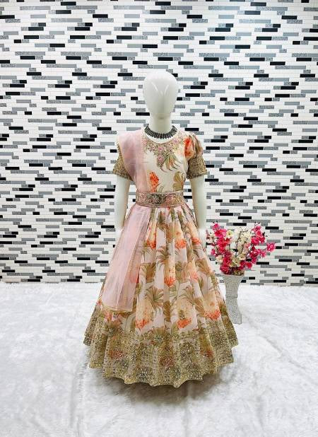 Anarkali Gown