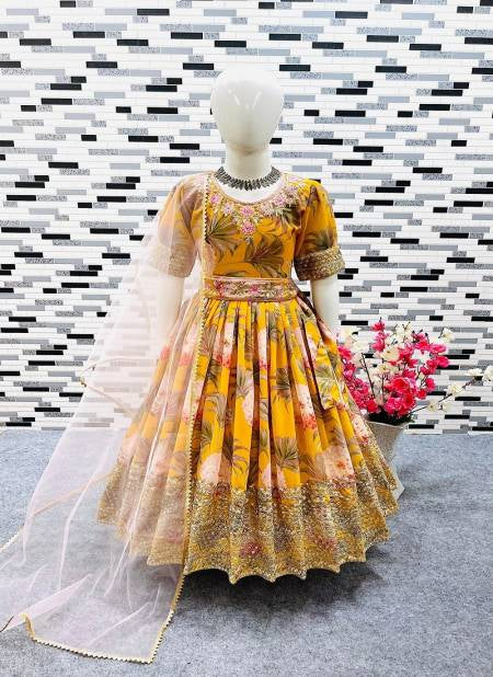Anarkali Gown