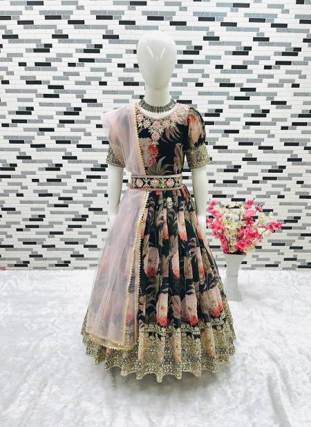 Anarkali Gown